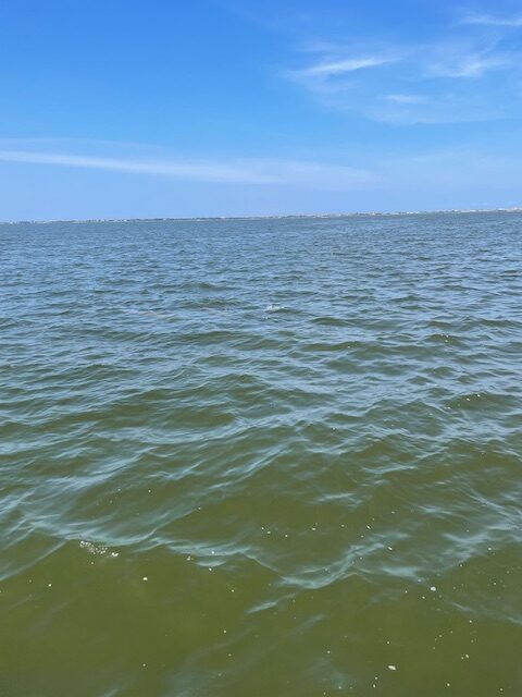 A body of water with green water and blue sky.